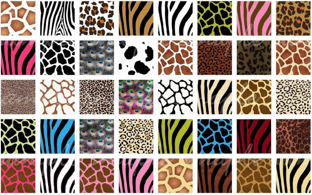 animal-print-patterns-zebra-print-graphic-patterns-creative-market